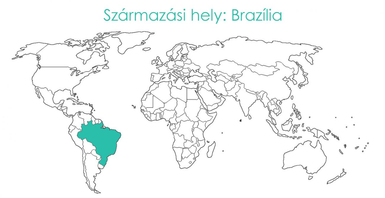 D diamantinensis származás 1